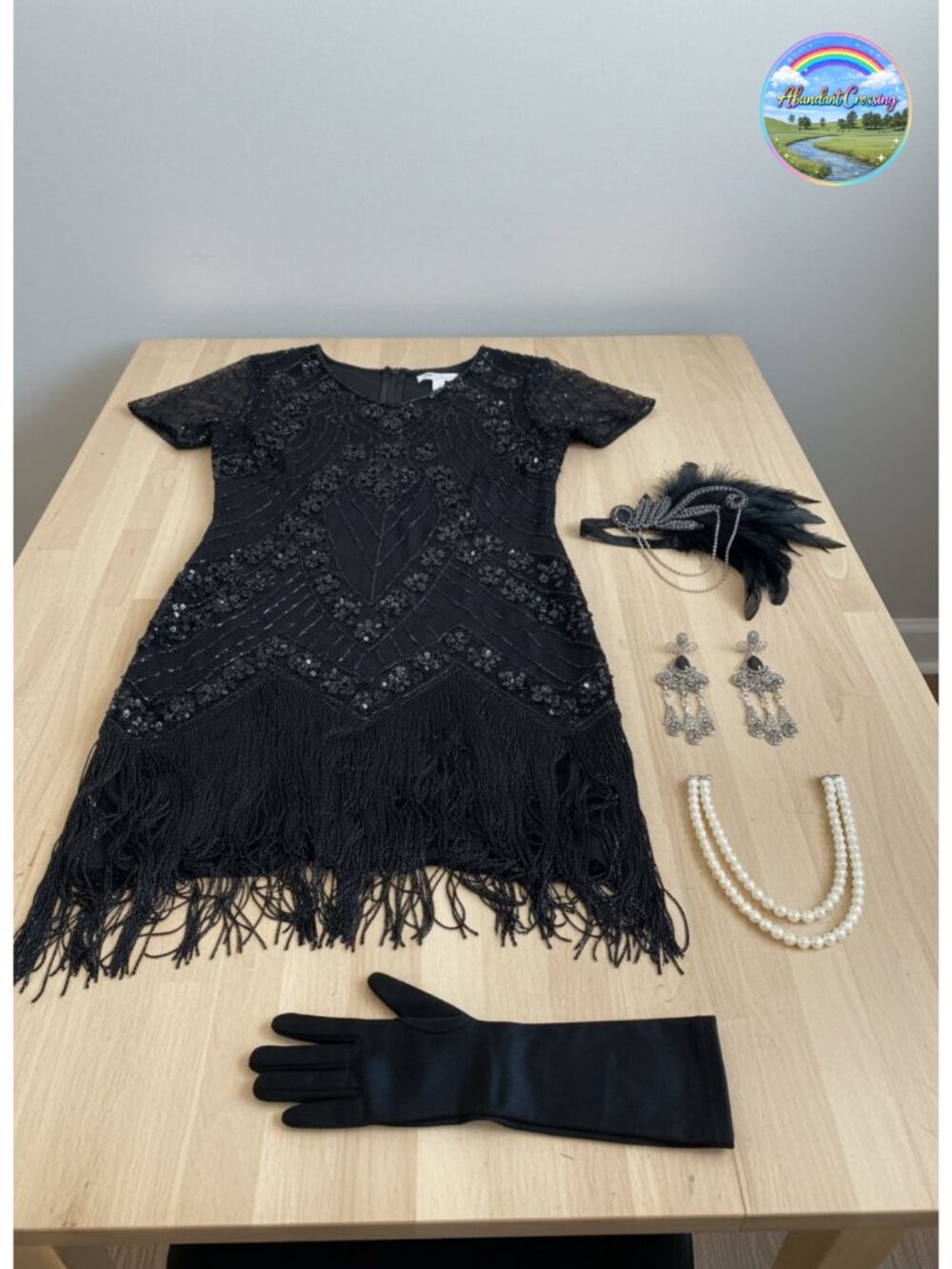 Flapper Dress with Fringe and Sequins, Short Sleeve, 1920s Costume